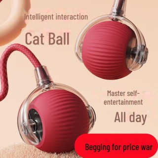 Langlebiges automatisches Katzenballspielzeug mit Seil – Selbstunterhaltung, springendes Haustierzubehör