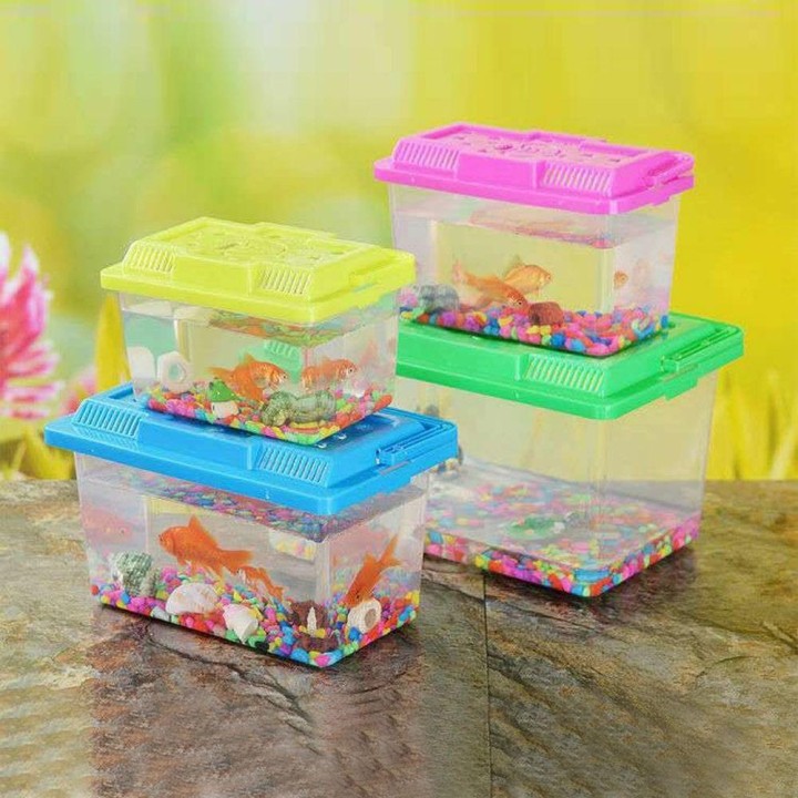 Tragbare Aquarium Käfig Schalen Schildkröte Tank Goldfisch Tank Hamster Box Pet Produkte L(18x11x11cm)