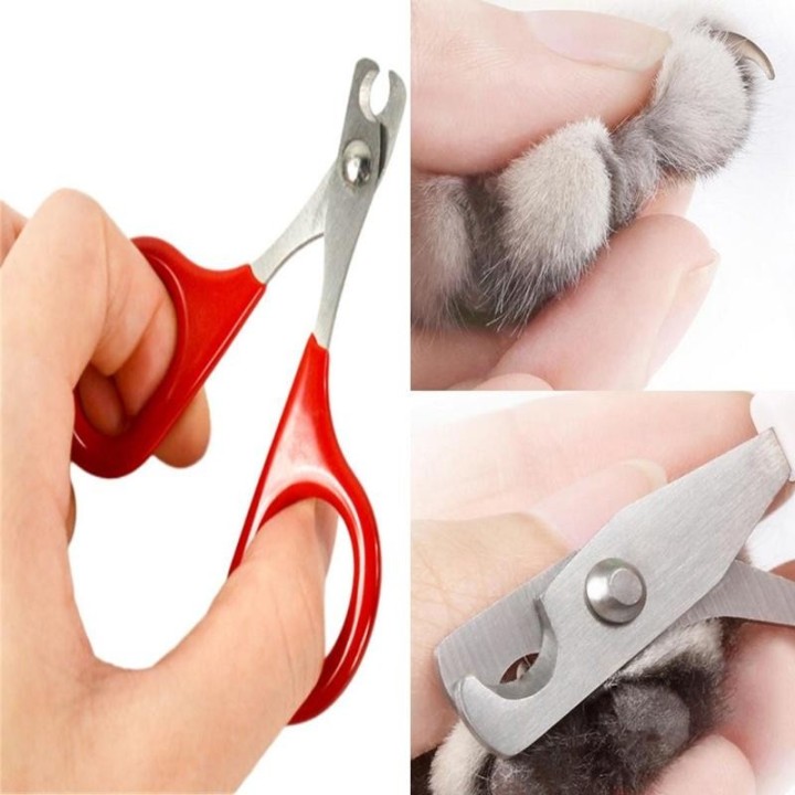 Nagelknipser mit abgewinkelter Klinge für Haustiere, Hunde, Katzen, Kaninchen, Vögel, Welpen, Kätzchen schwarz