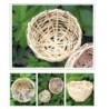 2 Stücke Handgemachte Vogelhaus Natur Handwerk Kleine Bambus Papagei Käfig Hängen Sittich Haus Garten Dekoration