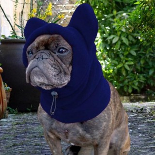 Einstellbare Hund Fleece Hüte Weiche Hund Warme Kappen Haustiere Liefert Casual Pet Cap Outdoor S blau