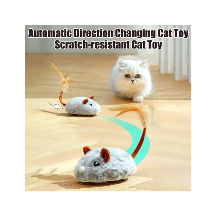 Elektrisches Maus-Katzenspielzeug, wiederaufladbar über USB, interaktives Kätzchenspielzeug mit Federschwanz, automatisch bew