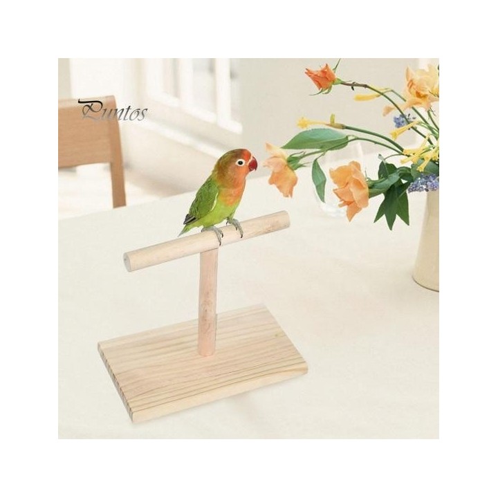 Vogelsitzstange, Nymphensittich-Trainingsübungs-Spielständer, Tischplatte, hölzerne Papageienstange für Sittiche, Wellensitti