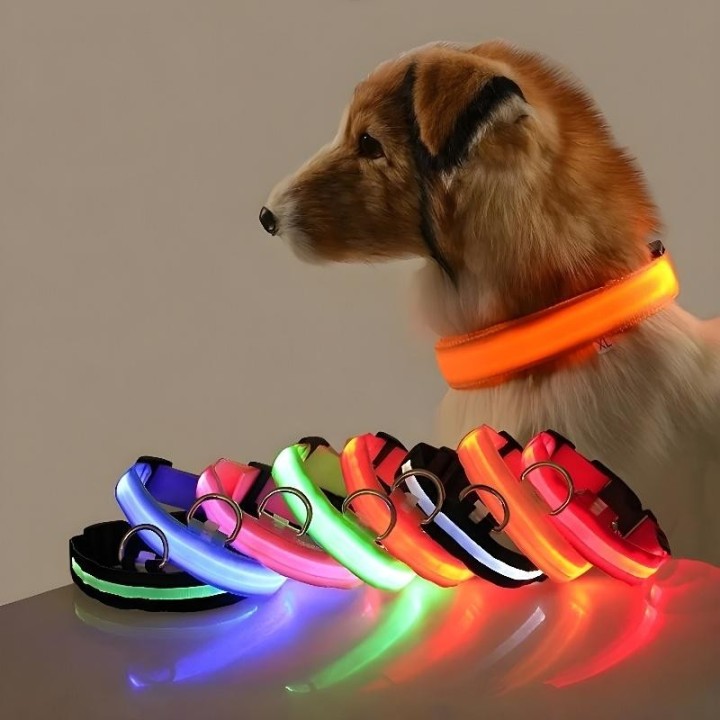 Hundehalsband aus Nylon, LED-Nachtsicherheit, blinkend, leuchtet im Dunkeln, Haustier-Hundeleine, leuchtendes fluoreszierende
