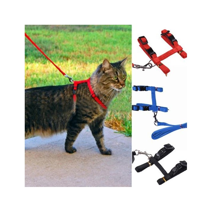Trainingsgurte für Haustierkaninchen, Geschirr, Leine, Traktionsgurt schwarz