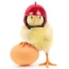 2024 Neuer Hühnerhelm für kleine Haustiere, Geflügel, Vögel, Enten, Kopfbedeckung, Hut, Kappe, Kopfschutz, Vogelkopfhelm, Hei