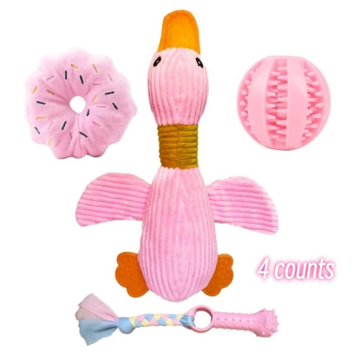 4-teiliges Set aus großer Quietsche-Ente und -Gans, geeignet für kleine und mittelgroße Hunderassen, Welpenspielzeug, Kau-Tee