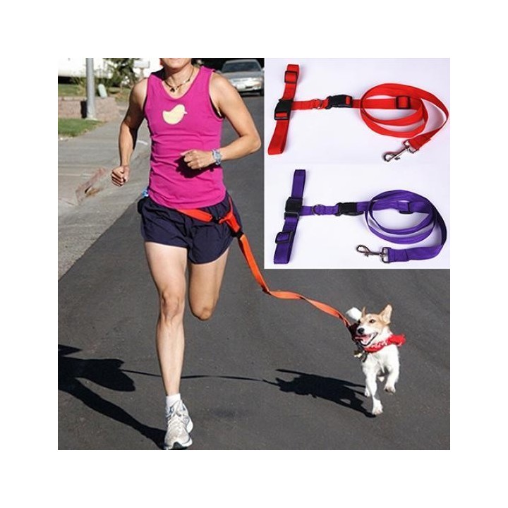 Einstellbare Hände frei Laufen Gehen Joggen Haustier Hund Taille Leine Traktion Seil