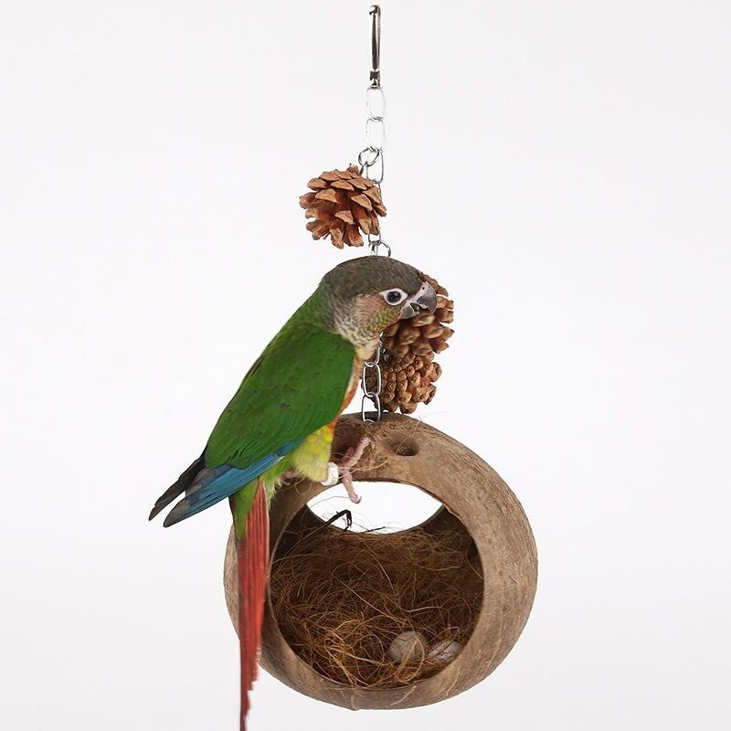 Vogelnestschaukel aus Kokosnussschale Vogelnest Papageiennest Papageienvogelspielzeug Schaukel Hängematte Aufhängering Hängeb