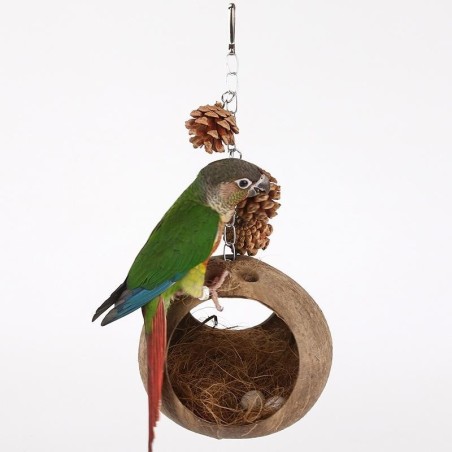 Vogelnestschaukel aus Kokosnussschale Vogelnest Papageiennest Papageienvogelspielzeug Schaukel Hängematte Aufhängering Hängeb
