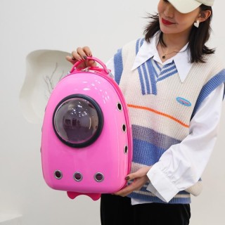 Neu 2025 Katzen- und Hundetrolley mit großem Fassungsvermögen, atmungsaktiv, stumme tragbare Mehrzweck-Tragetasche mit Reißve