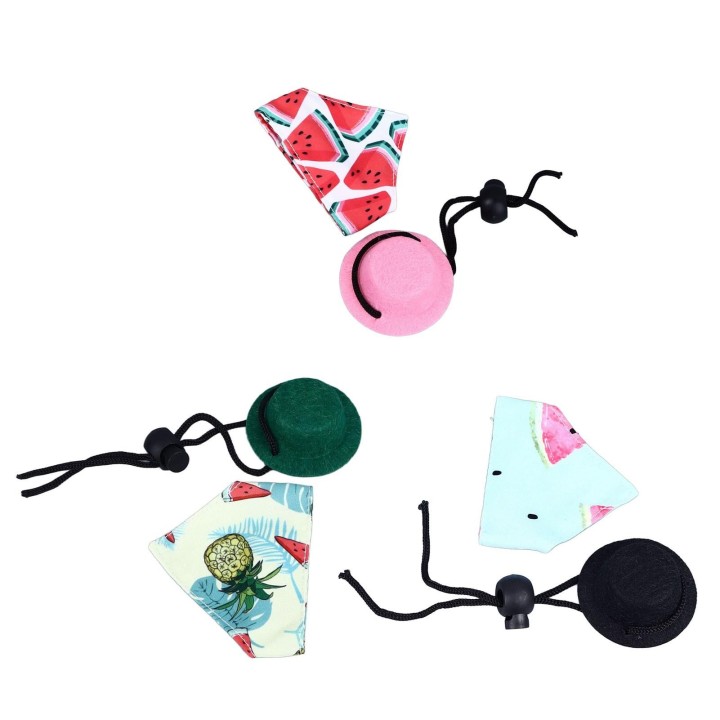 Bartagamen-Hut, Bandana-Set, bequem, exquisites Halloween-Kostüm für Eidechsen, Kleintiere, Reptilien, C Red Watermelon