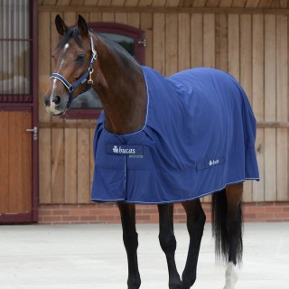 Bucas Shamrock Power