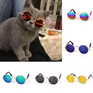 Haustierbrille, Katze, Sonnenbrille, Hund, Teddy, Persönlichkeit, lustiger Kopfschmuck 1