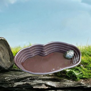 Reptilien-Badeschale, Pool-Fütterung mit Rampe, Schildkröten-Wasser für Heimtierbedarf, Frösche no drainage