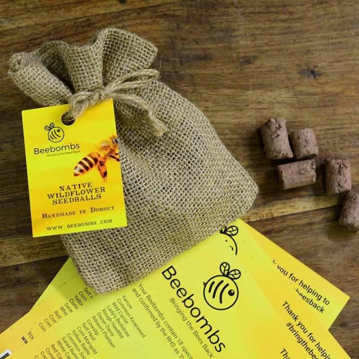 Bienenbomben - Wildblumen für Bienen