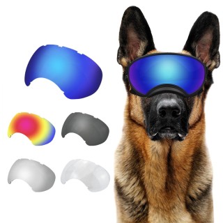 Outdoor-Hundebrille, Schutzbrille, klare UV-Ersatzgläser, Sonnenbrille, kompatibel mit verschiedenen Haustieren, winddicht, s