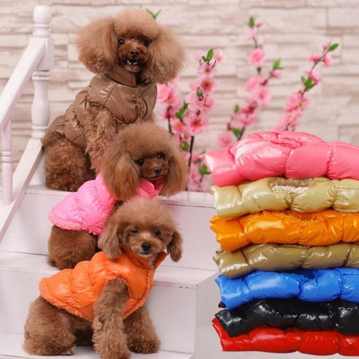 Dicke Winterweste für Haustiere: Kuschelige Teddy-Kleidung für Hunde und Katzen XS rosa