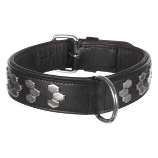 TRIXIE Active Halsband - Stylisches Design - Leder - Größe L - 45–55 cm - Schwarz