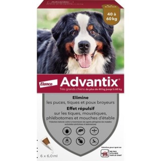 ADVANTIX Antiparasitenlösung für Hunde, sehr große Rassen, 40 bis 60 kg, 6 Pipetten