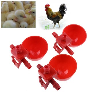 Automatischer Vogelstall-Futterspender für Geflügel, Wassertrinkbecher, Geflügelwasser, Hühnertränke, Chook Bowl Cup 5PCS rot