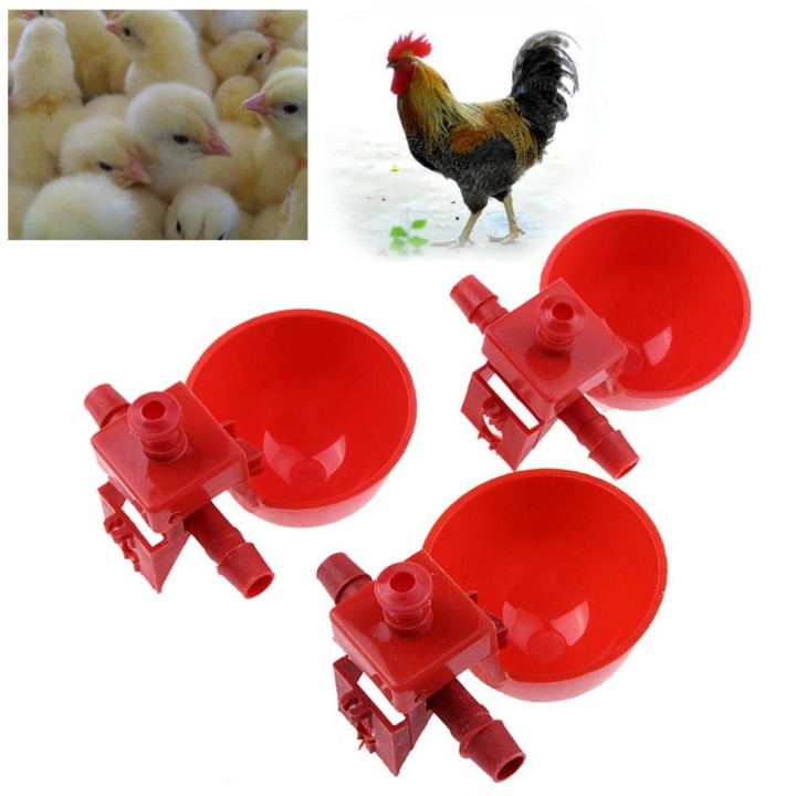 Automatischer Vogelstall-Futterspender für Geflügel, Wassertrinkbecher, Geflügelwasser, Hühnertränke, Chook Bowl Cup 5PCS rot