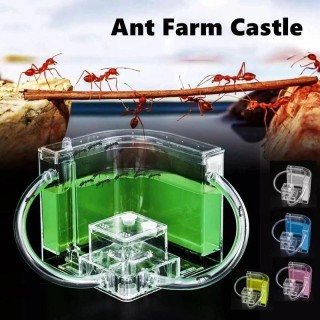 Ameisenlabyrinth Mimetisches Ökosystem Bauernhof Burg Verbindungsrohr Ameisenhaufen Lebensraum Werkstatt Haus Bausatz Lernspi