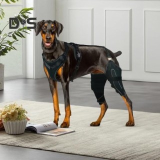Knieorthese für das Hinterbein von Hunden, Knieorthese für die Hüfte von Hunden, ACL-Unterstützung bei Hüftdysplasie, Arthrit