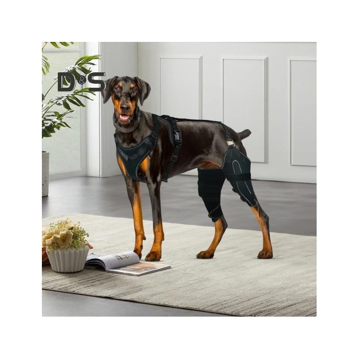 Knieorthese für das Hinterbein von Hunden, Knieorthese für die Hüfte von Hunden, ACL-Unterstützung bei Hüftdysplasie, Arthrit
