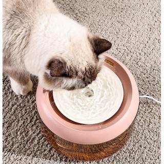 Automatischer Wasserspender für Katzen, zirkulierender Wasserspender für Haustiere, Katzennapf, Hundenapf, Heimtierbedarf grü