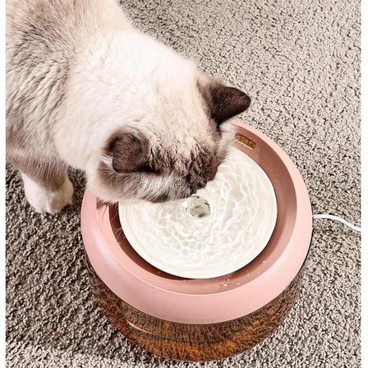 Automatischer Wasserspender für Katzen, zirkulierender Wasserspender für Haustiere, Katzennapf, Hundenapf, Heimtierbedarf grü