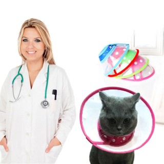 Transparenter Kegel aus Kunststoff für Haustiere, Katzen-Erholungskegelhalsband, verstellbares E-Halsband für Hunde, Schutzha