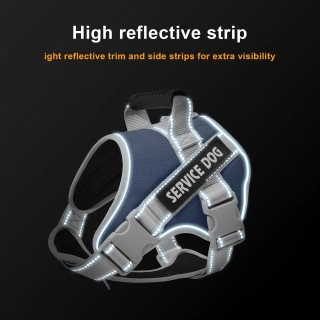 Haustierprodukte Hundeleine Reflektierendes Haustier Brustgurt Walking Dog Rope XS