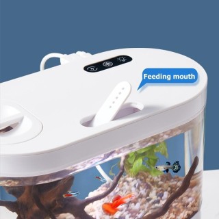 Kreatives Mini-Aquarium für den Schreibtisch mit biochemischem Filtersystem und LED-Licht für ökologischen Wasserkreislauf be