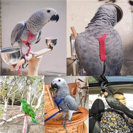 Trainings-Fliegen-Zugseil, Anti-Biss-Trainingsseil, Vogelleine, Papageien-Fliegenseil, Papageiengeschirr, Vogelgeschirr-Leine