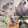 Trainings-Fliegen-Zugseil, Anti-Biss-Trainingsseil, Vogelleine, Papageien-Fliegenseil, Papageiengeschirr, Vogelgeschirr-Leine