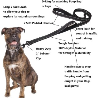 Hundeleinen Outdoor-Reise-Hundetrainingskette Robuste Leine mit Doppelgriff für mehr Kontrolle Sicherheitstraining Doppelgrif