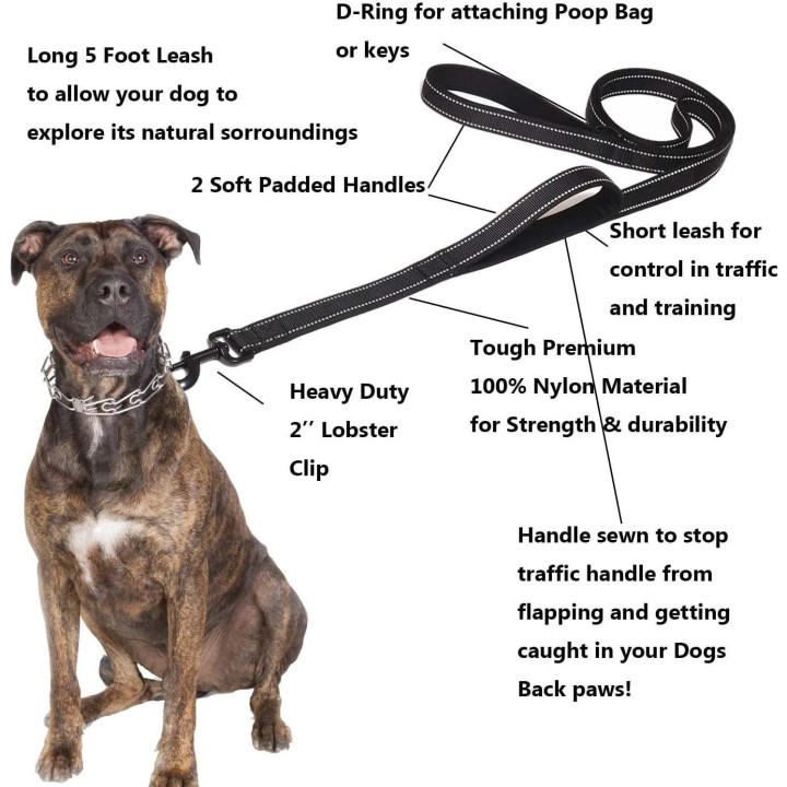 Hundeleinen Outdoor-Reise-Hundetrainingskette Robuste Leine mit Doppelgriff für mehr Kontrolle Sicherheitstraining Doppelgrif