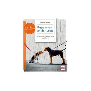 Begegnungen an der Leine: Entspannter Spaziergang statt Stress