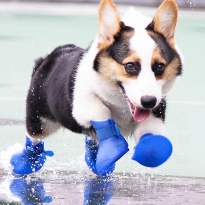 Outdoor Walking Haustier Hund Regen Schuhe für Kleine Mittelgroße Hunde Wasserdichte Chihuahua Pudel Welpen Stiefel Mascotas