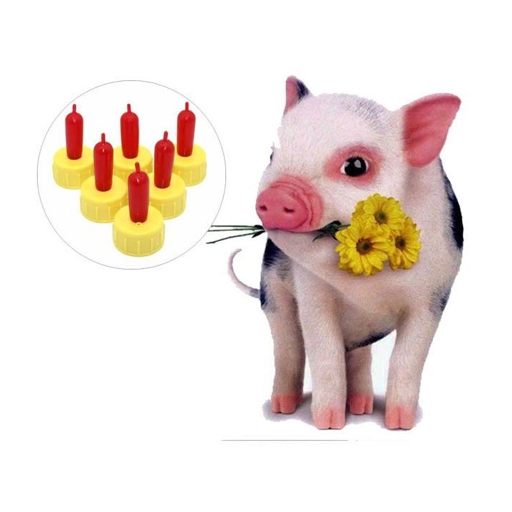 10 Stück Pritchard Trinksauger für Lamm, Kind, Welpe, Waise, weich, rot, Ewe, Ziege, Schaf