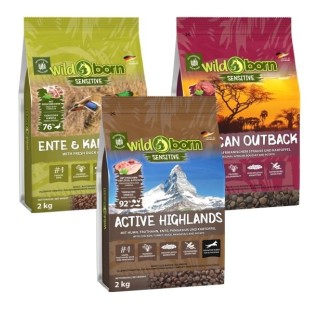 WILDBORN getreidefreies Hundefutter Vorteilspaket Aktiv 3 x 2kg