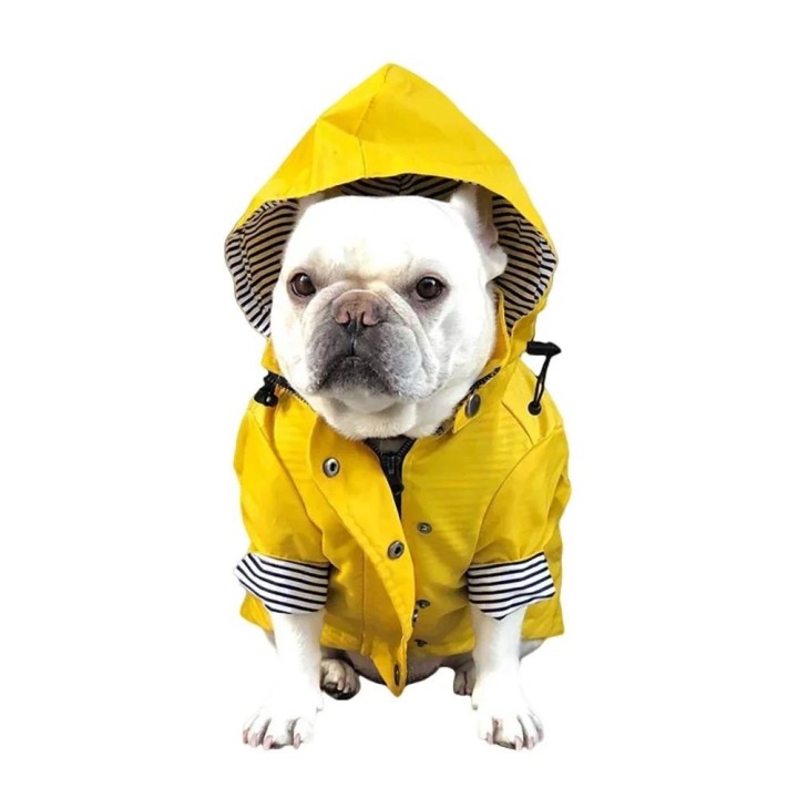 Wasserdichter Hundemantel für kleine, mittelgroße und große Hunde, Katzen, Haustier-Regenmantel, Hundesport-Kapuzenpullover,