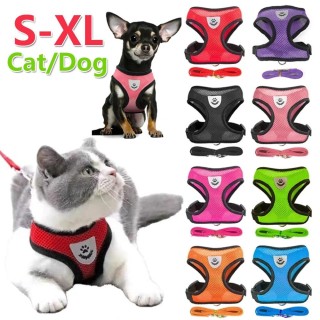 Haustier-Katzengeschirr, verstellbares Mesh-Geh-Leine, Welpenweste, atmungsaktives Polyester, Kätzchen-Zubehör für kleine, mi