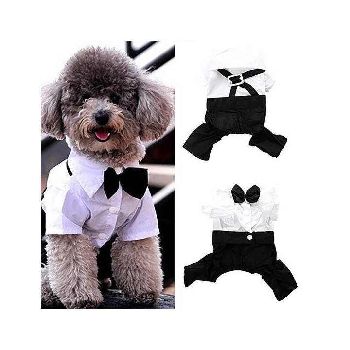 Haustierkleidung Prinz Smoking Fliege Anzug Kostüm Overall Mantel S-XXL XL