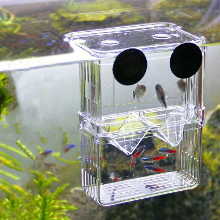Für Babyfische, Guppy-Fische, Isolation, Brüterei, Aquarium-Zubehör, Zuchtbox, Inkubator L