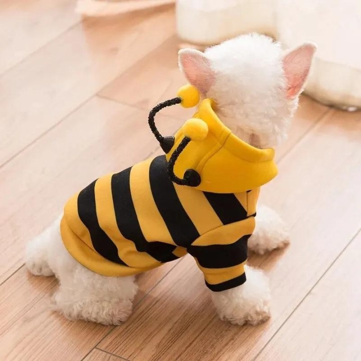 1PC Hundekleidung für Herbst und Winter Schnauzer Teddy Kleine Welpen Katze Haustier Hoodie Bee Transformation Anzug XS