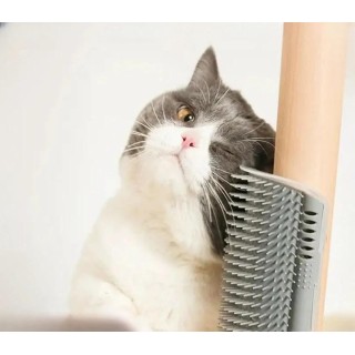 Massage-Haustierbürste, Eckkratzer, Haarentfernung, Beauty Clean, Eckbürste, abnehmbar