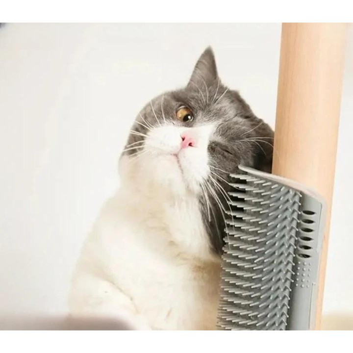 Massage-Haustierbürste, Eckkratzer, Haarentfernung, Beauty Clean, Eckbürste, abnehmbar