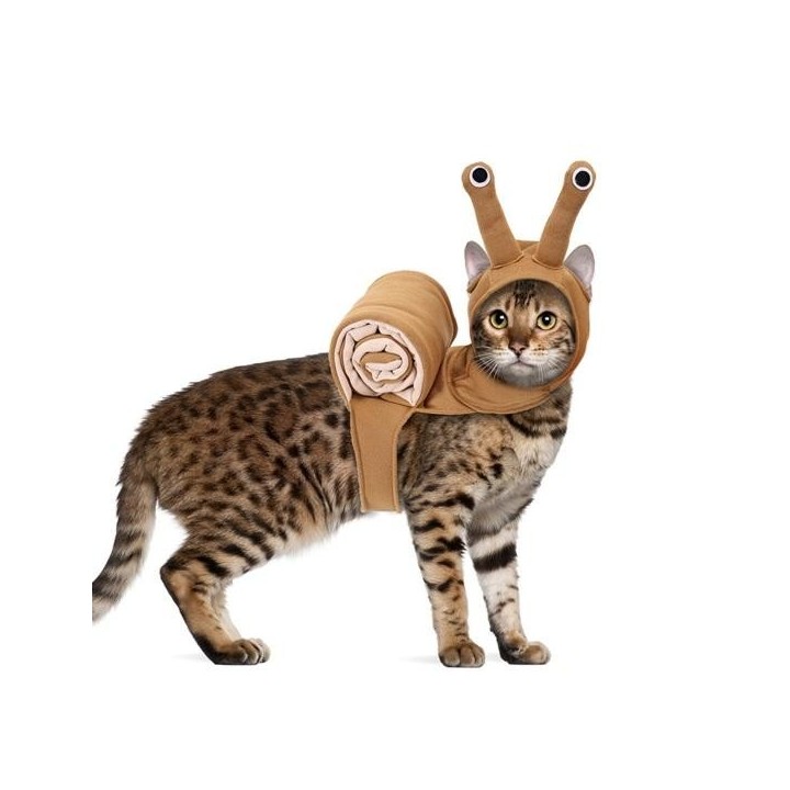 Halloween Haustierkostüm Welpe Schneckenform Transformationsanzug Kätzchen Lustiges Outfit Cosplay Dress-Up Party Zubehör M b